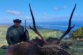 Rusa szarvas vadászat Mauritiuson