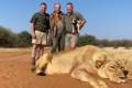 Hím oroszlán és krokodil vadászat Dél - Afrikában