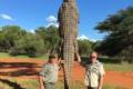 Hím oroszlán, krokodil és orrszarvú csomag Dél - Afrikában
