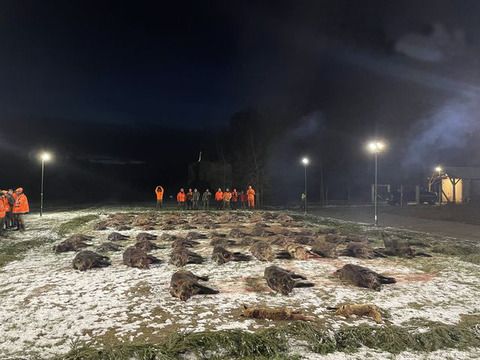 Terelő vadászat Vas megyében